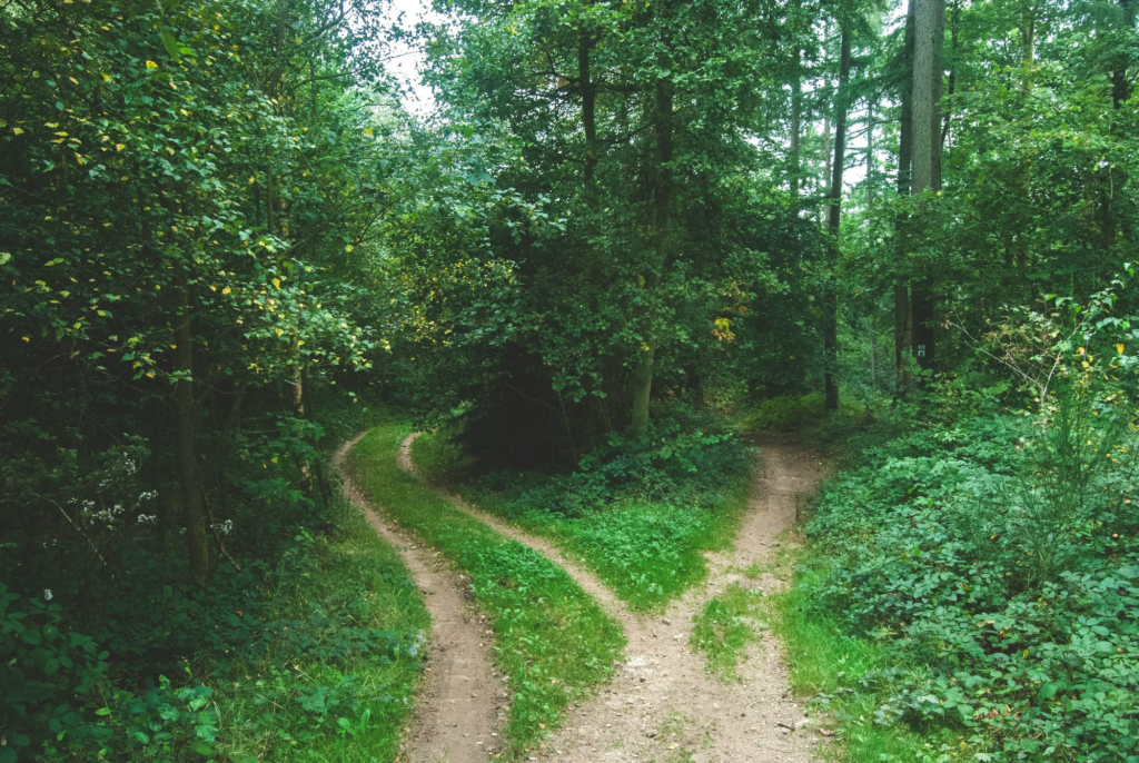 We Made a Decision That Lowers Our MRR and ARR, Here’s The Story